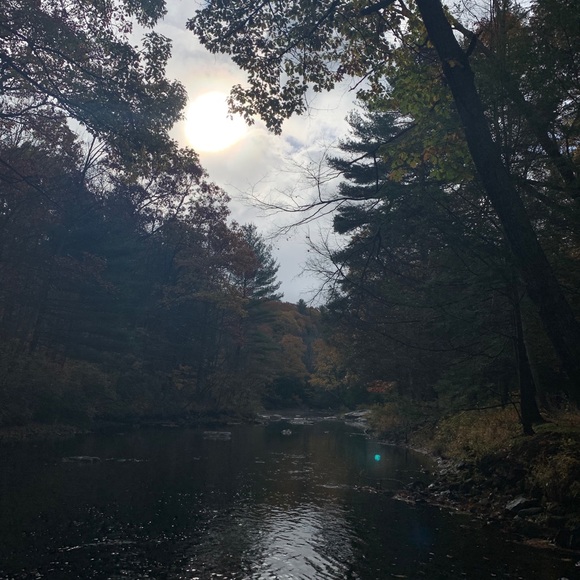 Meet your Posher, Brandon - Picture 1 of 1